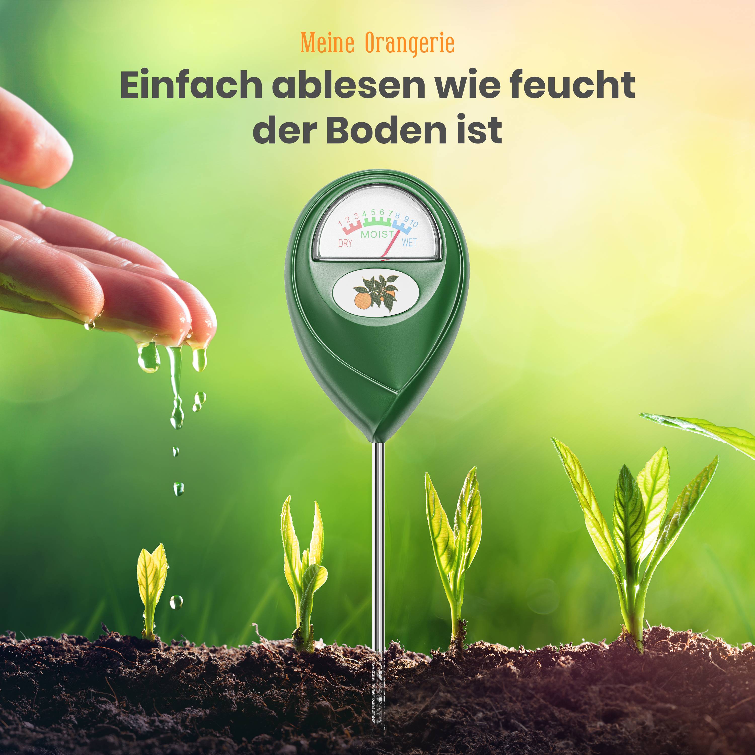 Feuchtigkeitsmesser für Pflanzen sichern
